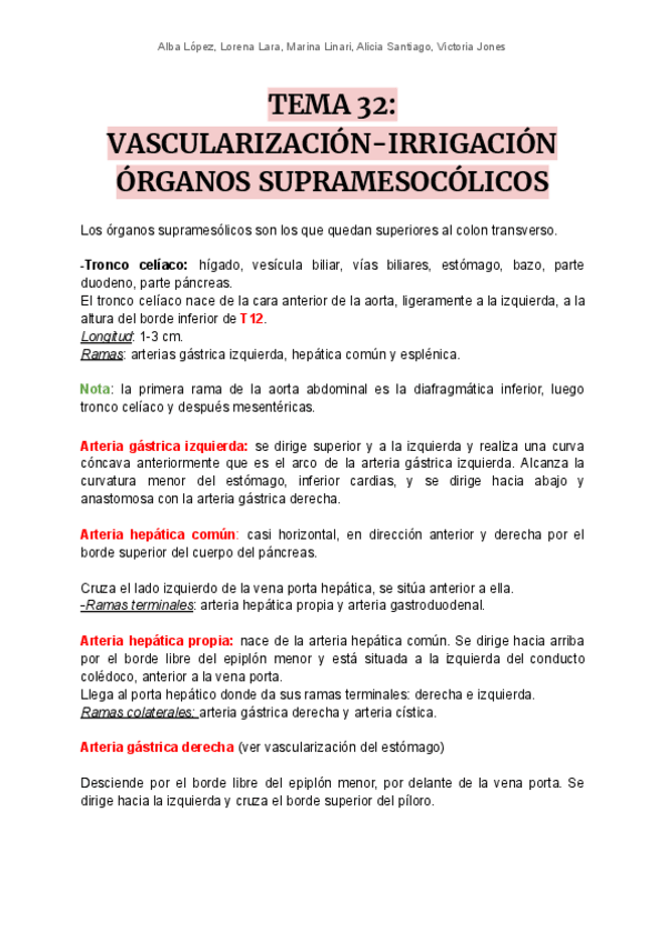 Miniatura del documento T32-vascularizacion-supramesocolicos.pdf