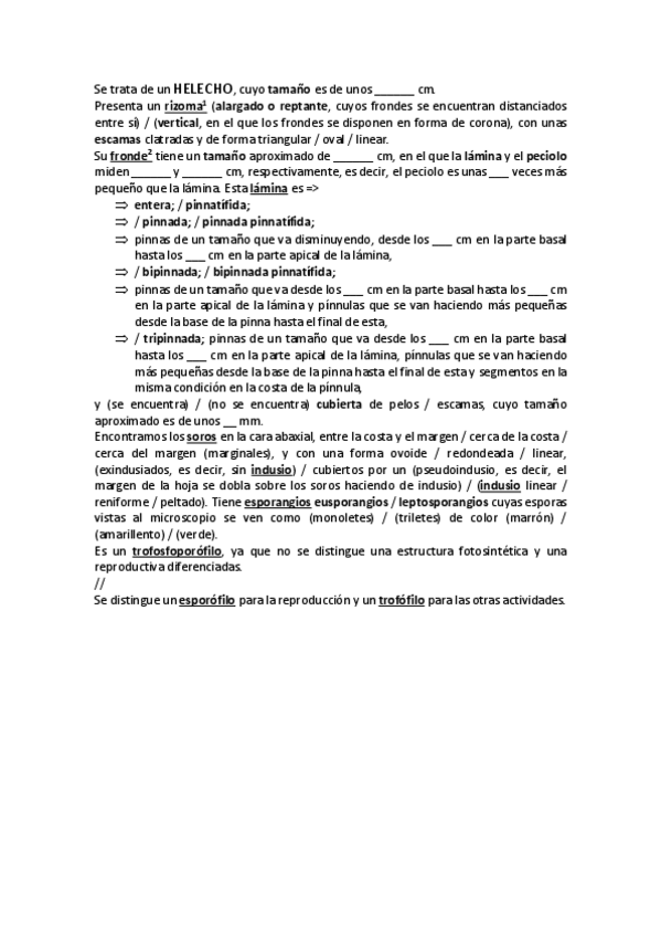 Miniatura del documento Descripciones-redactadas.pdf
