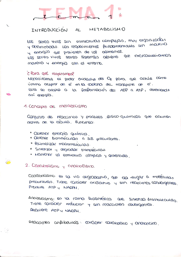 Miniatura del documento tema1.pdf