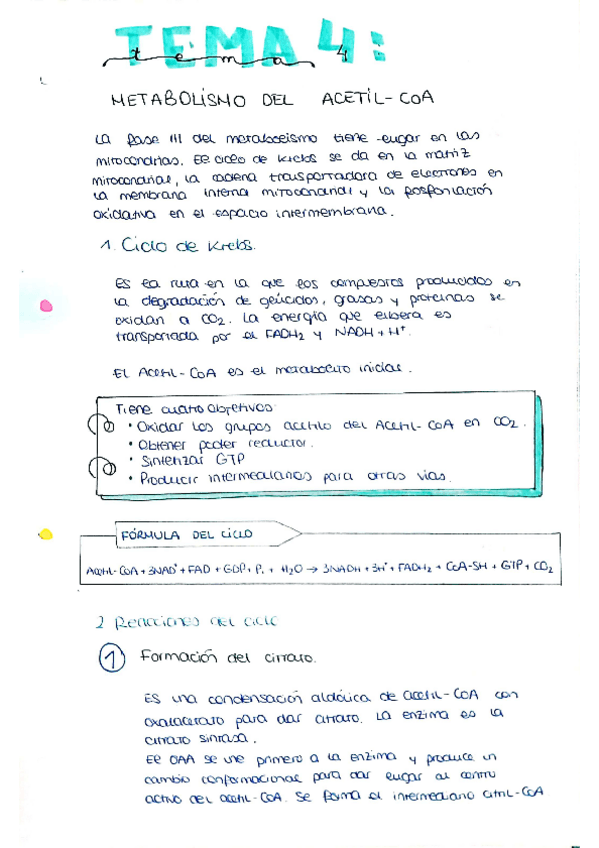 Miniatura del documento tema4.pdf