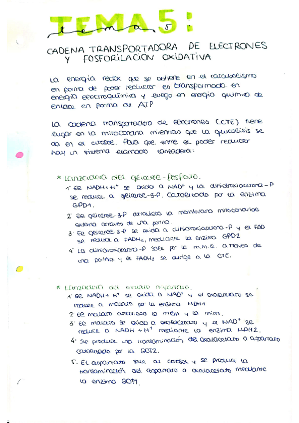Miniatura del documento tema-5.pdf