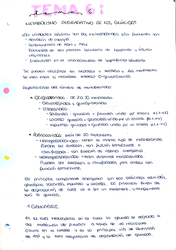 Miniatura del documento tema6.pdf