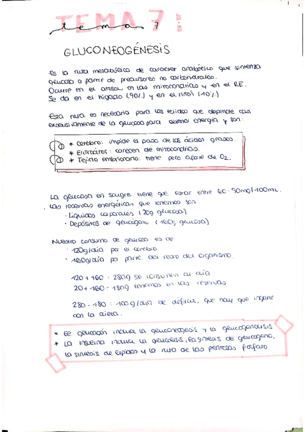 Miniatura del documento tema7.pdf