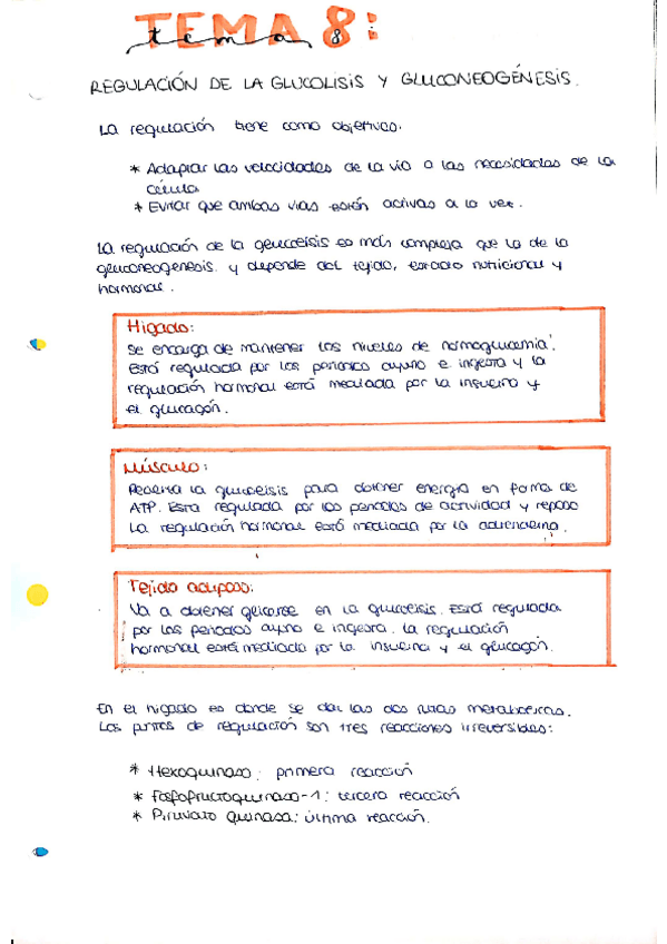 Miniatura del documento tema8.pdf