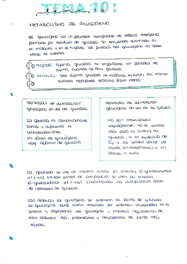 Miniatura del documento tema10.pdf