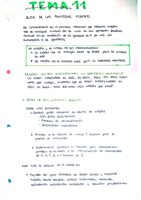 Miniatura del documento tema-11.pdf