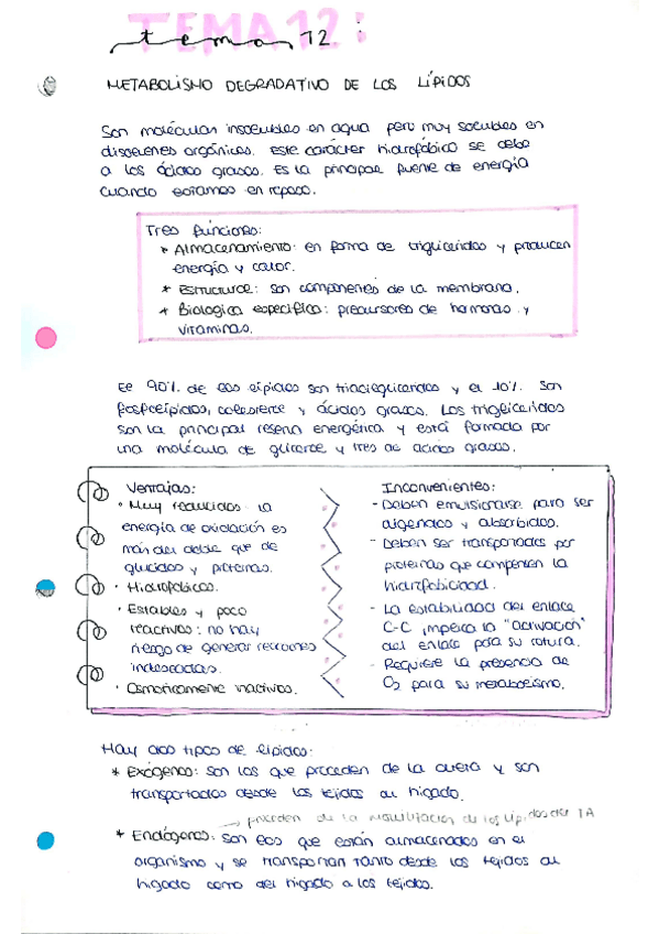 Miniatura del documento tema12.pdf