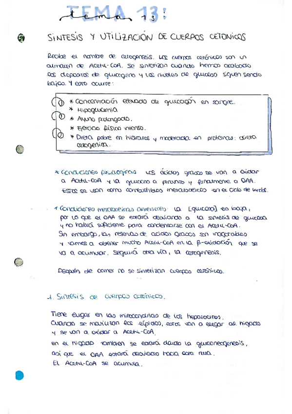 Miniatura del documento tema13.pdf