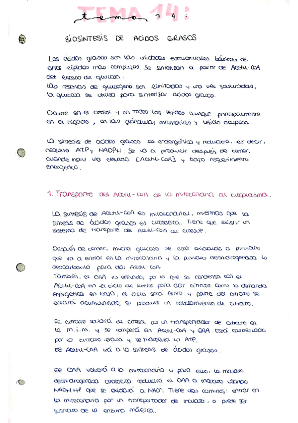 Miniatura del documento tema-14.pdf