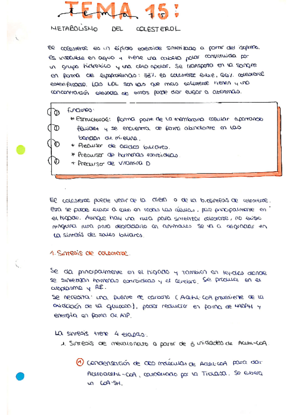 Miniatura del documento tema15.pdf