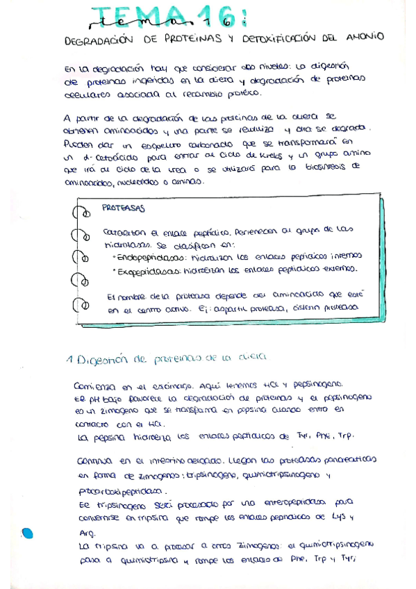 Miniatura del documento tema-16.pdf