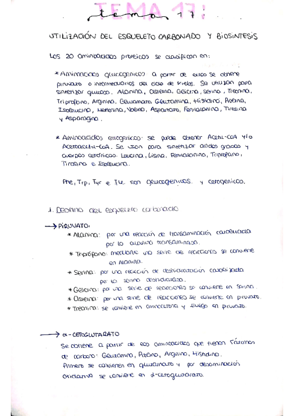Miniatura del documento tema-17.pdf