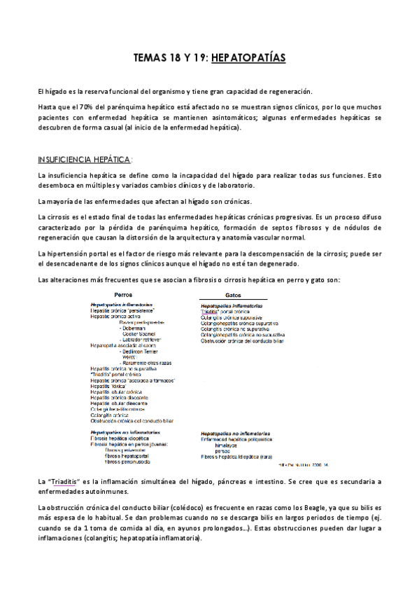 Miniatura del documento Mis-apuntes-MEDICA-I-parte-Don-Angel.pdf