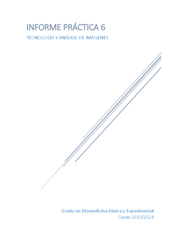 Miniatura del documento INFORME-PRACTICA-6-VESICULAS-SINAPTICAS.pdf