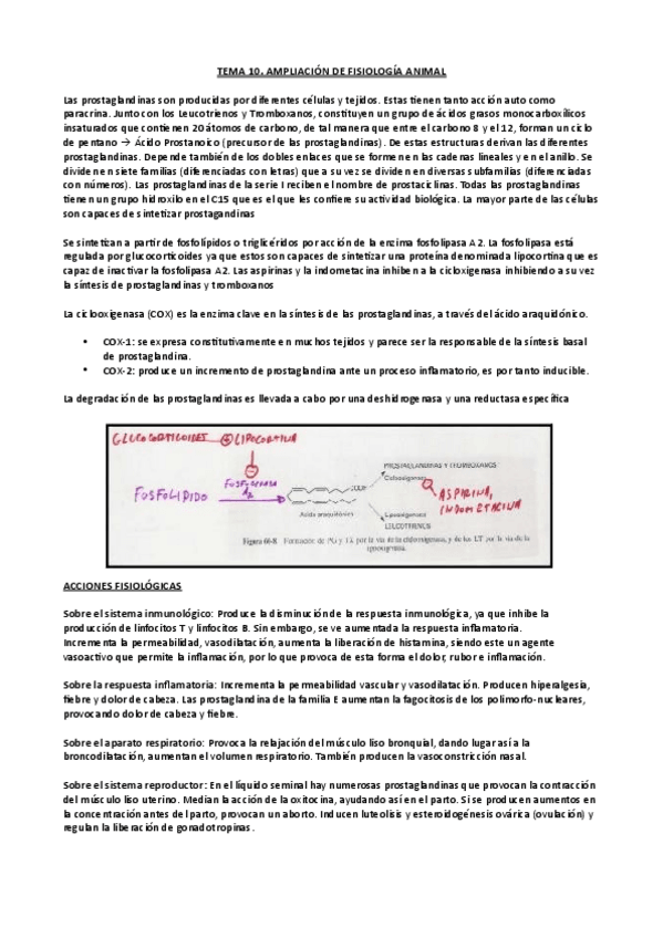 Miniatura del documento tema-10-ampliacion-de-fisio.pdf