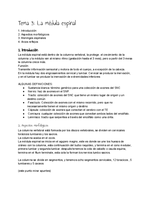 Miniatura del documento Tema-3-La-medula-espinal.pdf