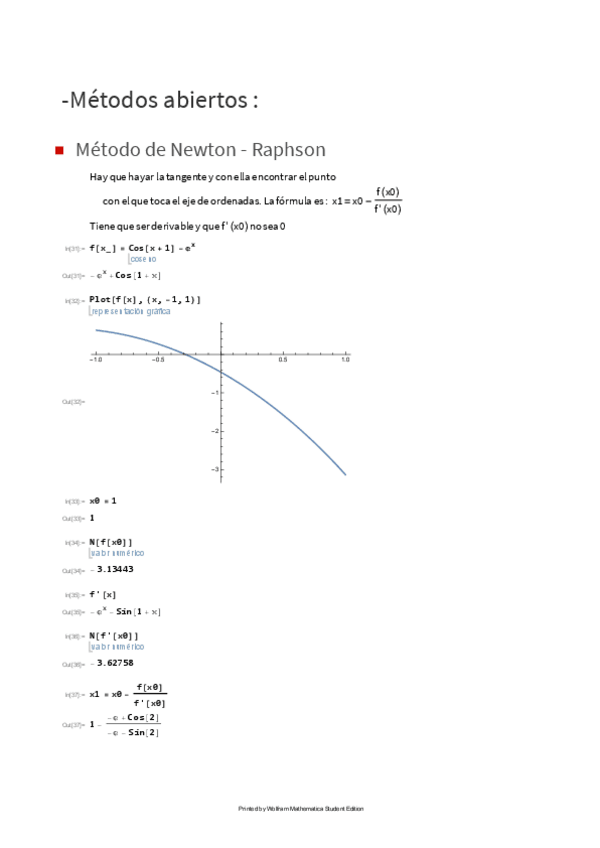 Miniatura del documento Newton-Raphson.pdf
