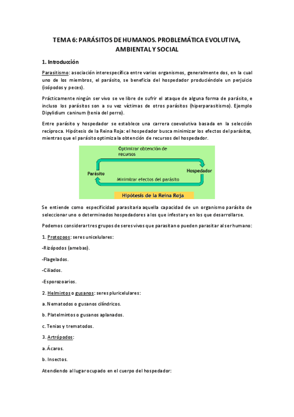 Miniatura del documento TEMA-6.pdf