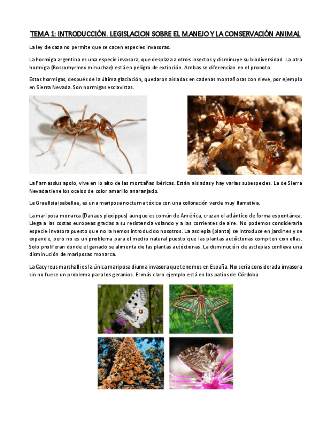 Miniatura del documento TEMA-1.pdf