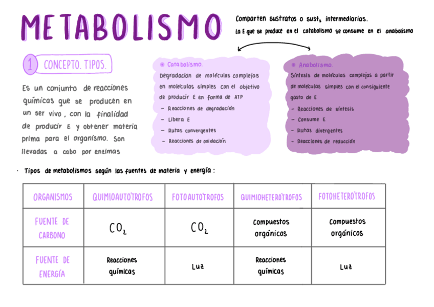 Miniatura del documento Bloc-de-notas-sin-titulo-1.pdf