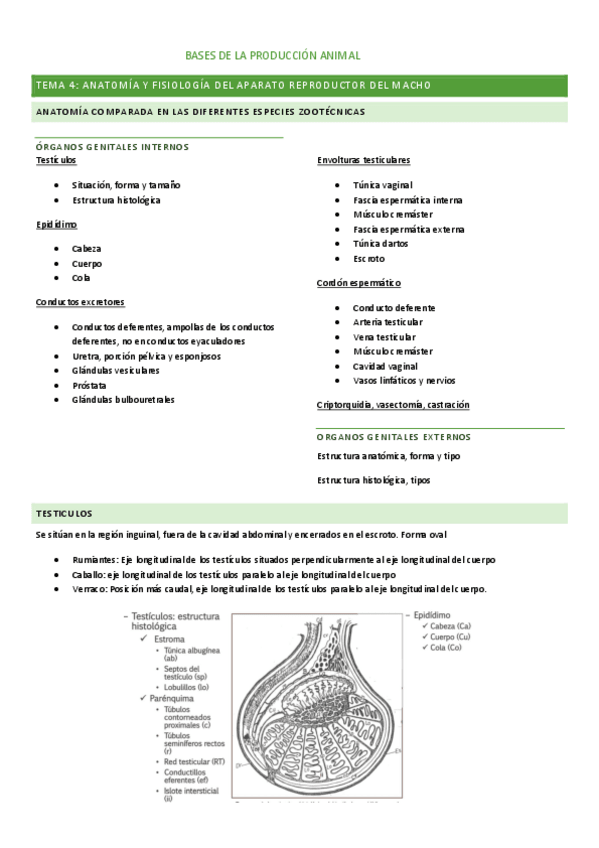 Miniatura del documento T4-ANIMALES-S.pdf