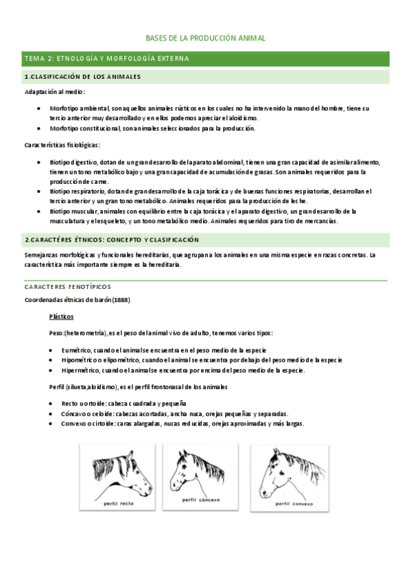 Miniatura del documento T2-ANIMALES-S.pdf