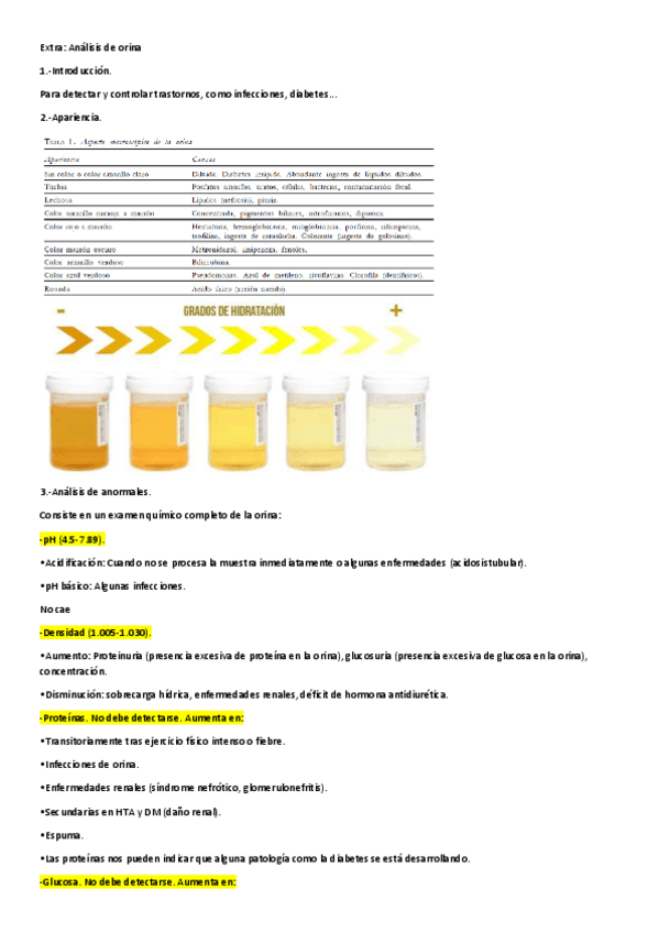 Miniatura del documento Analisis-de-orina-y-sangre.pdf