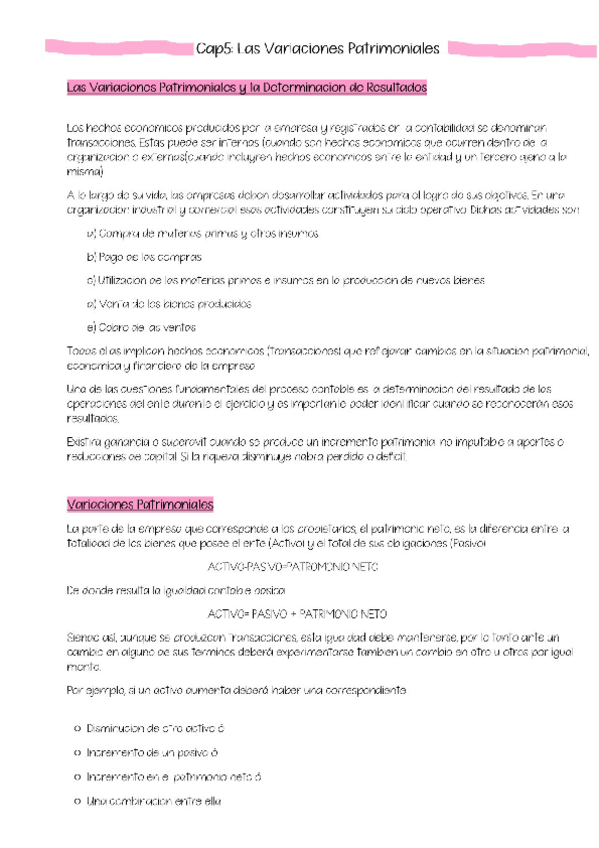 Miniatura del documento Resumen-Variaciones-Patrimoniales.pdf