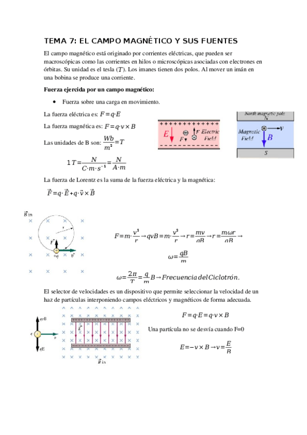 Miniatura del documento Resumen-magnetismo.docx