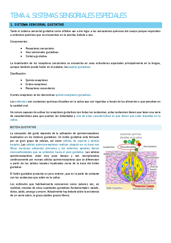 Miniatura del documento TEMA-4.pdf