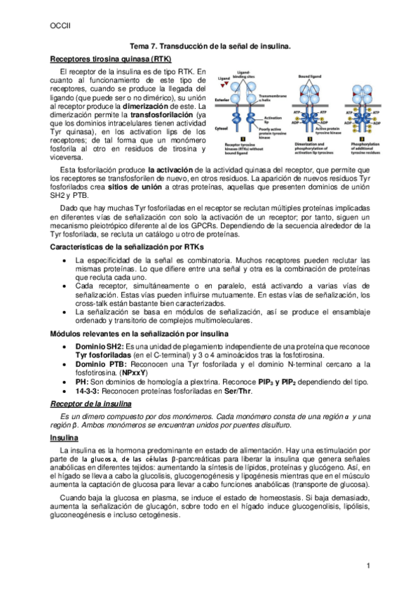 Miniatura del documento Tema-7.pdf
