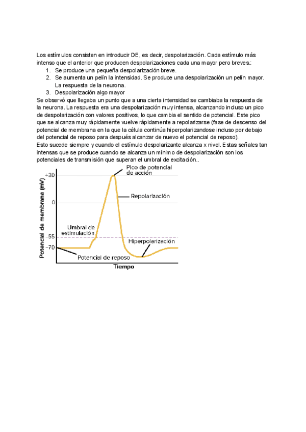 Miniatura del documento Despolarizacion.pdf