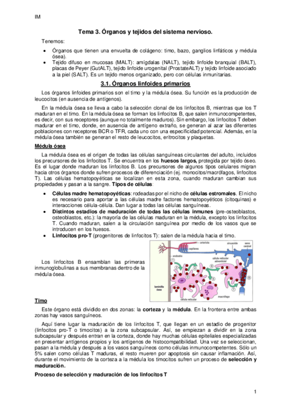 Miniatura del documento Tema-3.pdf