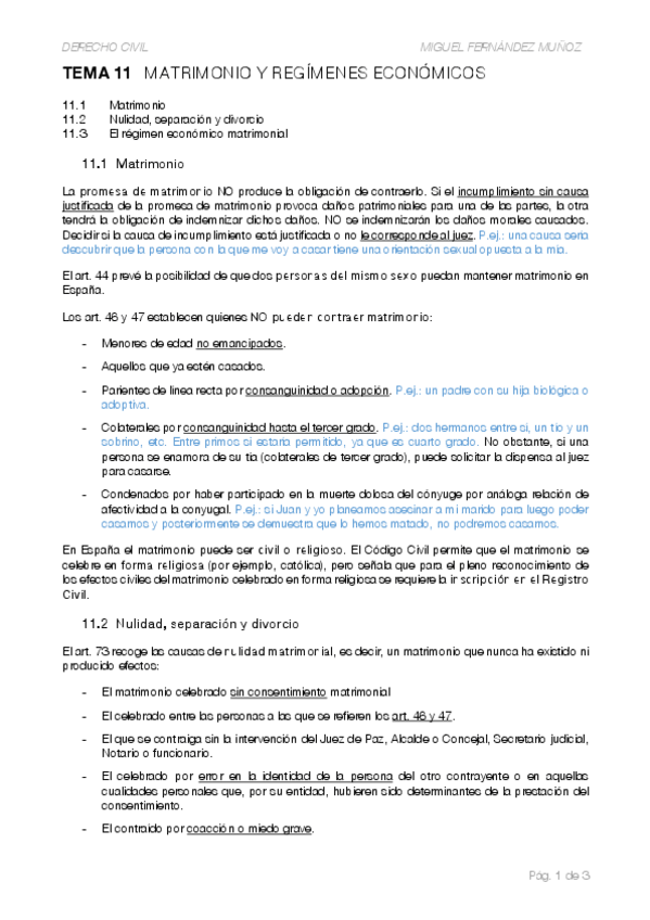Miniatura del documento T11-Matrimonio-y-regimenes-economicos.pdf
