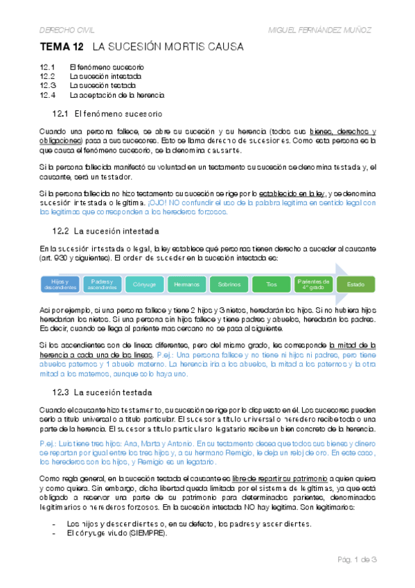 Miniatura del documento T12-La-sucesion-mortis-causa.pdf