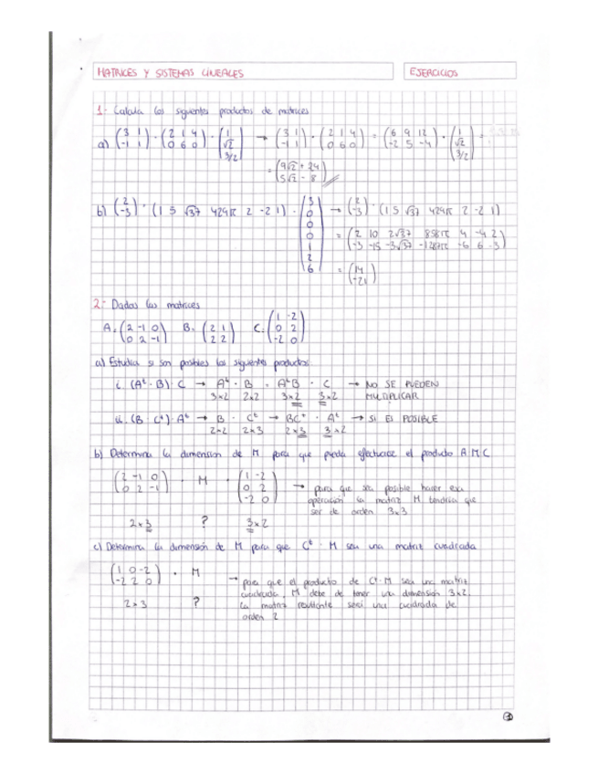 Miniatura del documento T1-Matrices-y-sistemas-lineales-Ejercicios.pdf
