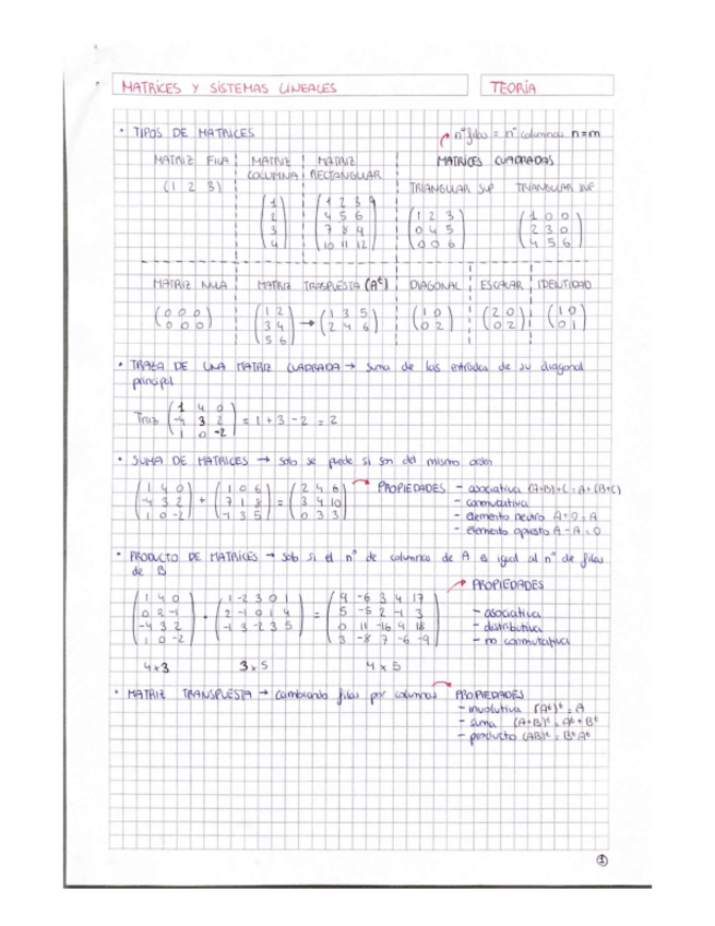 Miniatura del documento T1-Matrices-y-sistemas-lineales-Teoria.pdf