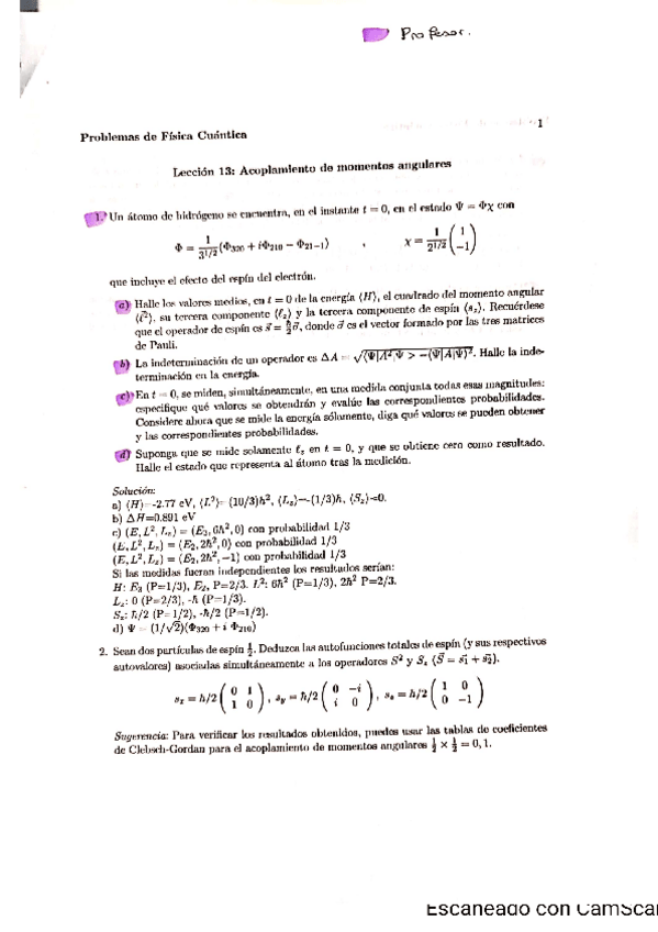 Miniatura del documento PROBLEMAS-TEMA-13.pdf
