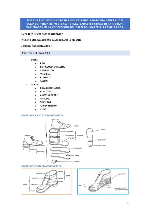 Miniatura del documento Orto-tema-11.pdf