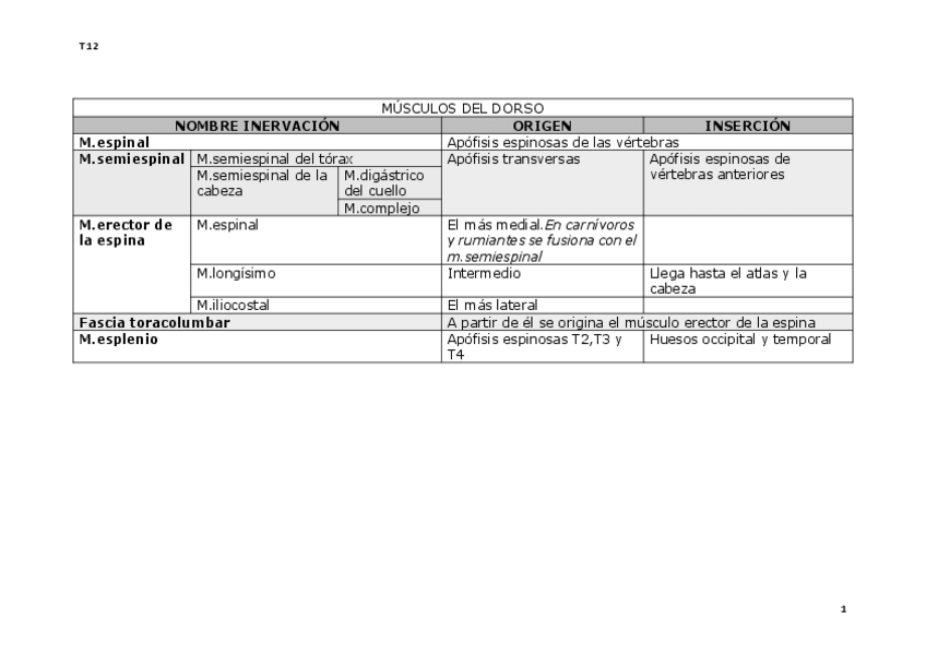 Miniatura del documento 1o-PARCIAL-TABLAS-resumen-Temas-12-23.pdf