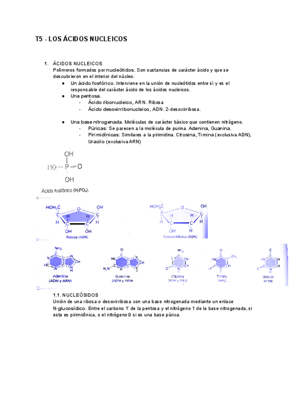 Miniatura del documento Tema5AcidosNucleicos.pdf