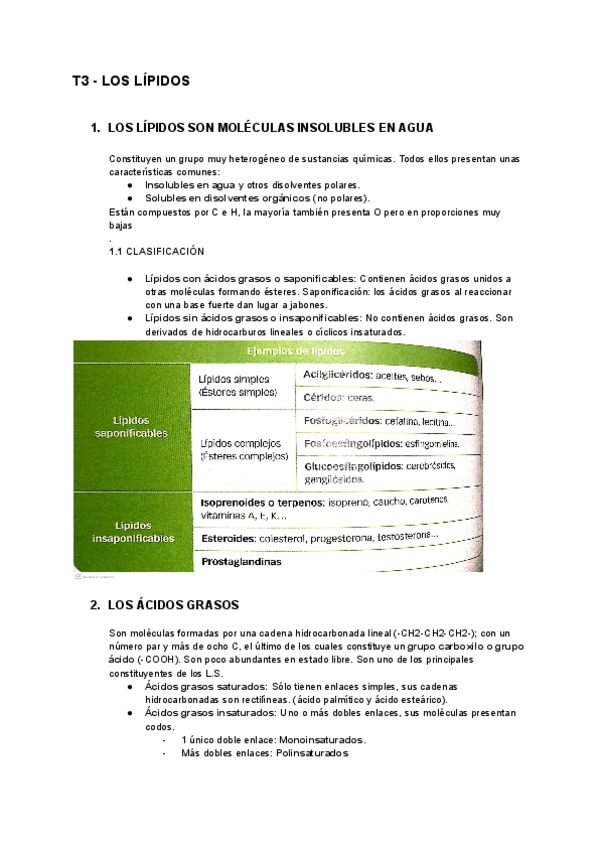 Miniatura del documento Tema3Lipidos.pdf