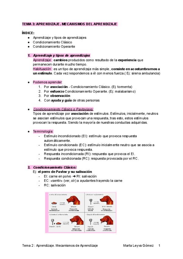 Miniatura del documento TEMA-2-.pdf