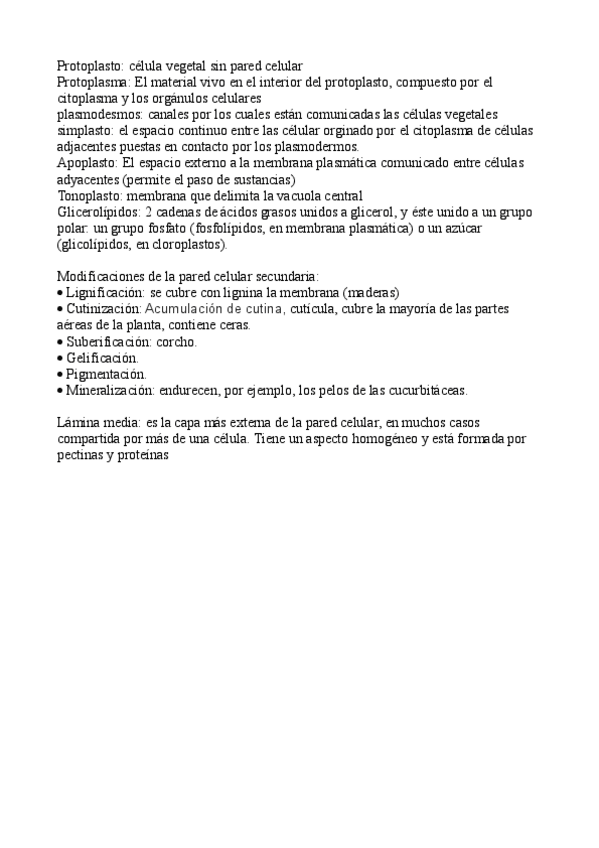 Miniatura del documento definiciones.pdf