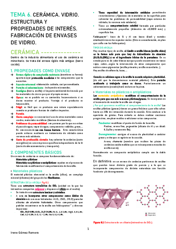 Miniatura del documento ENV-T6-1erParcial.pdf