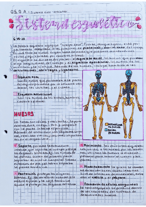 Miniatura del documento Sistema-osteoarticular.pdf