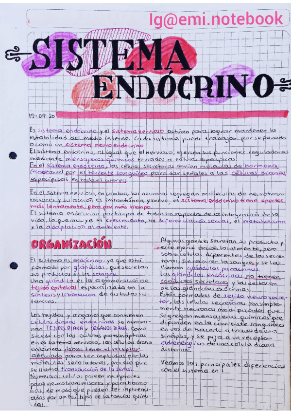Miniatura del documento Endocrino.pdf