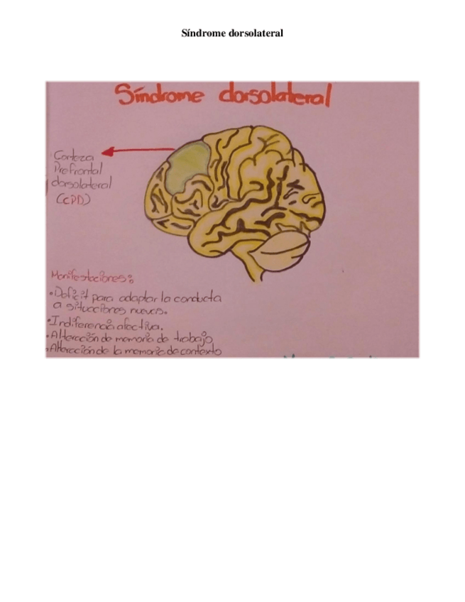 Miniatura del documento sindrome-dorsoparental.pdf