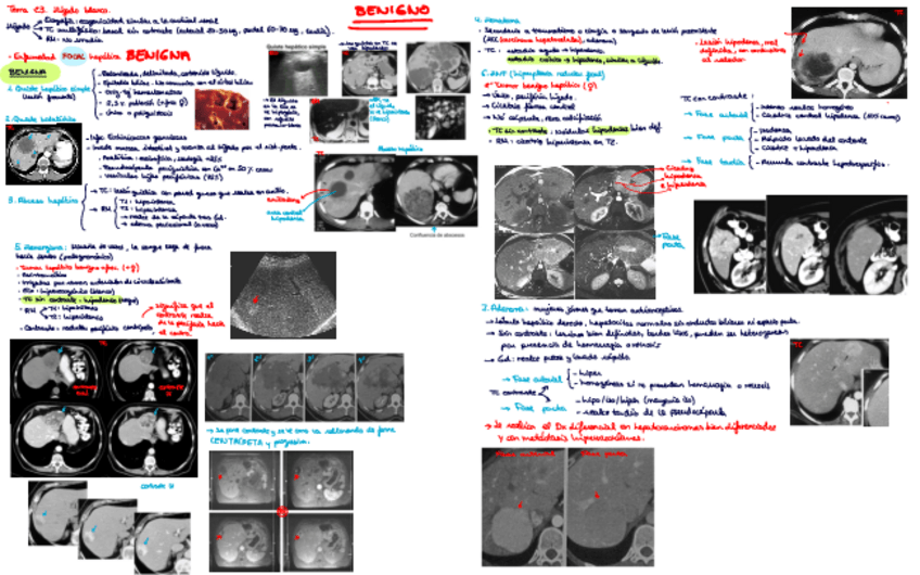 Miniatura del documento Rayos-Abdomen.pdf