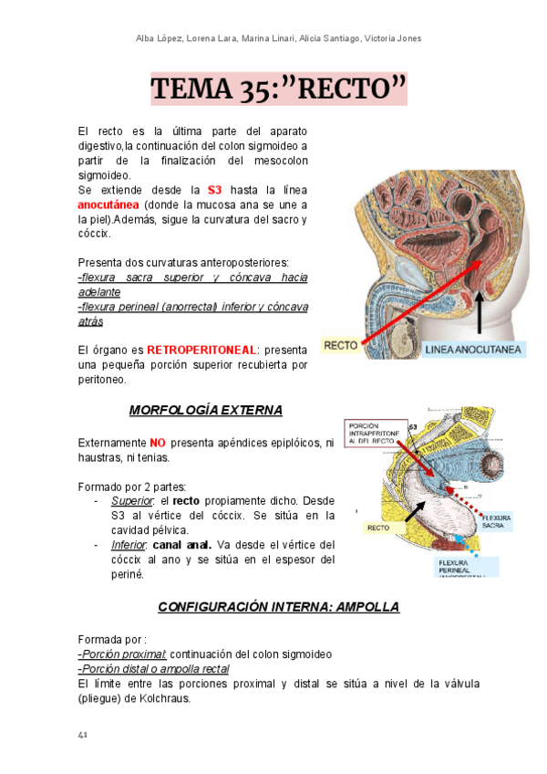 Miniatura del documento T35-recto.pdf